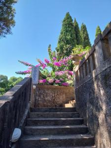 un escalier avec des fleurs et des arbres roses dans l'établissement Villa Tiha, à Cavtat