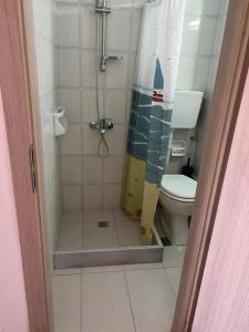 a bathroom with a shower with a toilet at Alexandros Apartments in Dhrepanon