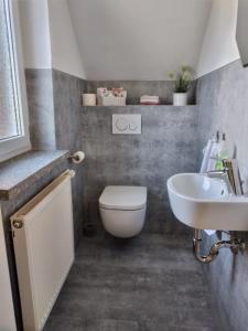 uma casa de banho com um WC e um lavatório em Ferienhaus Rabold em Bad Liebenstein