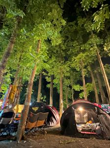 a group of tents in a forest with trees at De Wang Villa in Meinong