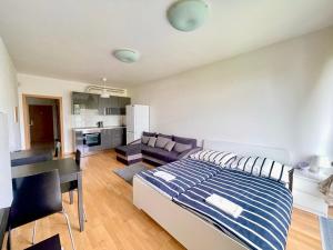 Køkken eller tekøkken på Garden Park Studio