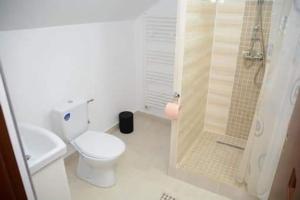 a white bathroom with a toilet and a shower at Casa pintioi in Ieud