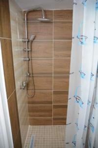 a shower in a bathroom with a shower curtain at Casa pintioi in Ieud