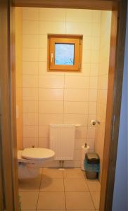 ein kleines Bad mit einem WC und einem Fenster in der Unterkunft Apartment Obertraun in Obertraun