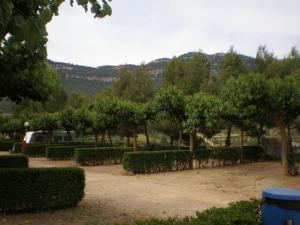 Príroda v okolí kempingu