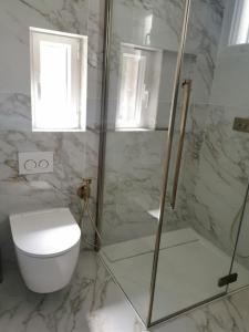 a bathroom with a toilet and a glass shower at La petite Niçoise au Jacuzzi à 3 min de la mer in Nice