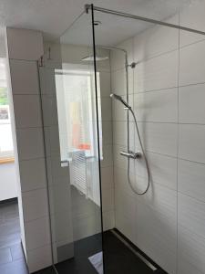 una doccia con porta in vetro in bagno di Appartements-Restaurant Schwaiger a Tauplitz