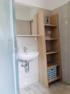 a bathroom with a sink and a book shelf at Apartma Pep in Kobarid