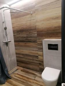 a bathroom with a toilet and a wooden wall at Erdvi studija Spacious studio apartment Self check in in Vilnius