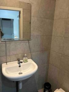 ein Bad mit einem Waschbecken und einem Spiegel in der Unterkunft Antwerp City apartment 2 in Antwerpen