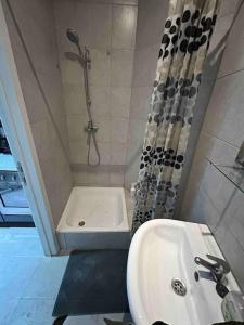ein Bad mit einer Dusche und einem Waschbecken in der Unterkunft Antwerp City apartment 2 in Antwerpen