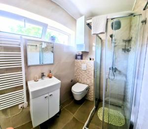 e bagno con servizi igienici, lavandino e doccia. di APARTMENT LEA BAYVIEW a Dubrovnik