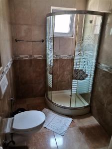 een badkamer met een douche en een toilet bij Egnatia Apartments in Struga