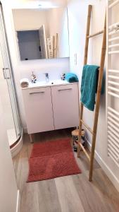 a bathroom with a sink and a ladder and a mirror at Gite de la rivière avec patio et parking centre ville in Le Mans