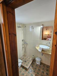 a bathroom with a shower and a sink and a toilet at Corali rooms pelion in Agios Ioannis Pelio