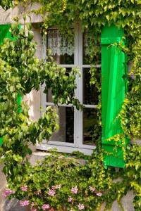 una ventana con persianas verdes en un edificio con flores en Dessine moi un mouton, chambre d'hôte à Soulosse, en Soulosse-sous-Saint-Élophe