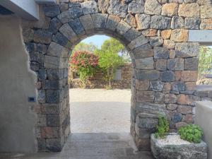 une arche dans un mur en pierre avec une plante dans l'établissement La casa della salemitana, à Pantelleria