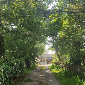a dirt road with trees and a house in the background at WITERICUS hospedaxe in Guitiriz