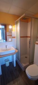 a bathroom with a shower and a sink and a toilet at Le Llaret in Les Angles