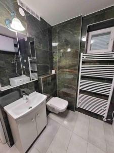 的住宿－Nádasdy Apartman，浴室配有白色水槽和卫生间。