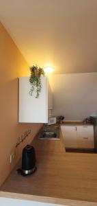 une cuisine avec un évier et une plante en pot sur le mur dans l'établissement La Maison du Sabotier, à Custinne