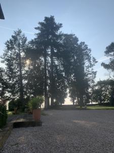un gran patio con árboles y una maceta en La Téoulère du Bas, en Laguian-Mazoux