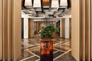 西安的住宿－西安德尔塔酒店，楼内带有盆栽的走廊