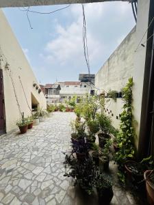a courtyard with potted plants in a building at Namaste Amritsar Homestay in Amritsar