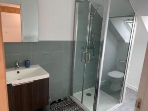 a bathroom with a shower and a sink and a toilet at Appartement T3 lumineux 70m² in Brest