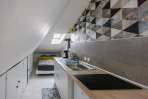 uma cozinha com um lavatório e uma bancada em Studio Strasbourg centre em Estrasburgo