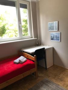 Gallery image of Flowers in Toruń +4 photos