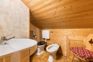 a bathroom with a white tub and a toilet at Baita Pecol Passo Pordoi in Canazei