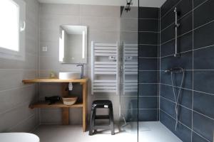 a bathroom with a shower and a sink and a mirror at Gîte de Savenay 
