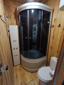 a bathroom with a shower and a toilet in it at Czekoladowy Domek in Nadkole