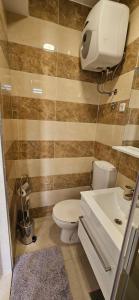 un baño con inodoro y lavabo en Antruzo Room, en Dubrovnik