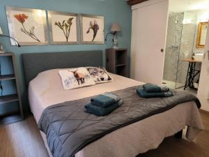 1 dormitorio con 1 cama con 2 almohadas en Appartements - 1 mn du centre, en Ribeauvillé