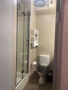 ein Bad mit einem WC und einer Glasdusche in der Unterkunft Appartement style hôtel cocooning in Limoges