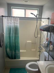 a bathroom with a shower curtain and a toilet at Freeman Enterprises LLC in Las Vegas