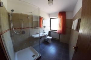 ein Bad mit einer Dusche, einem Waschbecken und einem WC in der Unterkunft Gasthof zum Bayerischen in Greding
