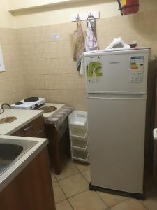a kitchen with a refrigerator and a sink at Meltemi Appartments in Perama