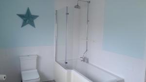 a bathroom with a toilet and a star on the wall at Butland House in Pembrokeshire +22 photos