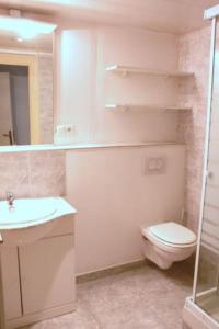 La salle de bains est pourvue de toilettes, d'un lavabo et d'un miroir. dans l'établissement Lumineux F2 proche GARE TGV, à Mulhouse