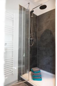 y baño con ducha y puerta de cristal. en Moderne Ferienwohnungen in alter Villa en Georgenthal