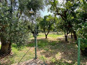 Giardino di Villetta San Matteo