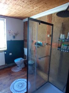 a bathroom with a shower and a toilet in a room at Velo Dahme - Appartement in historic building in Dahme