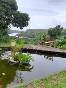 a bench sitting on a wooden bridge over a pond at Umtamvuna View Cabanas in Port Edward
