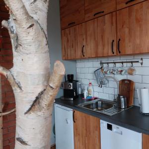 drzewo stojące w kuchni obok zlewu w obiekcie Świerkowy Zakątek u Bacy w mieście Wieprz
