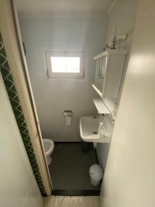 a small bathroom with a toilet and a sink at Vacation house MAX for 4 persons, 350 m from the sea, in Pollentier Middelkerke Park in Middelkerke