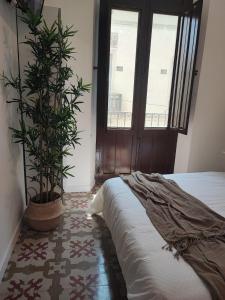 1 dormitorio con 1 cama y una maceta en Apartamento Merlot 11, en Novelda