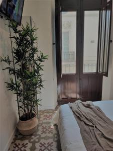 um quarto com uma cama e uma planta ao lado de uma janela em Apartamento Merlot 11 em Novelda